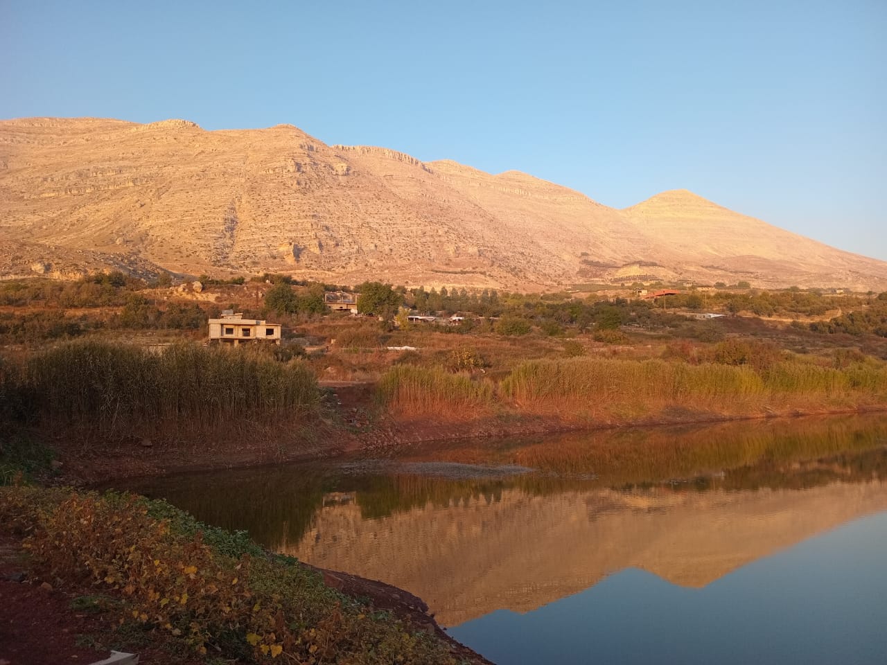 الخريف كمصنع كبير للدهشة