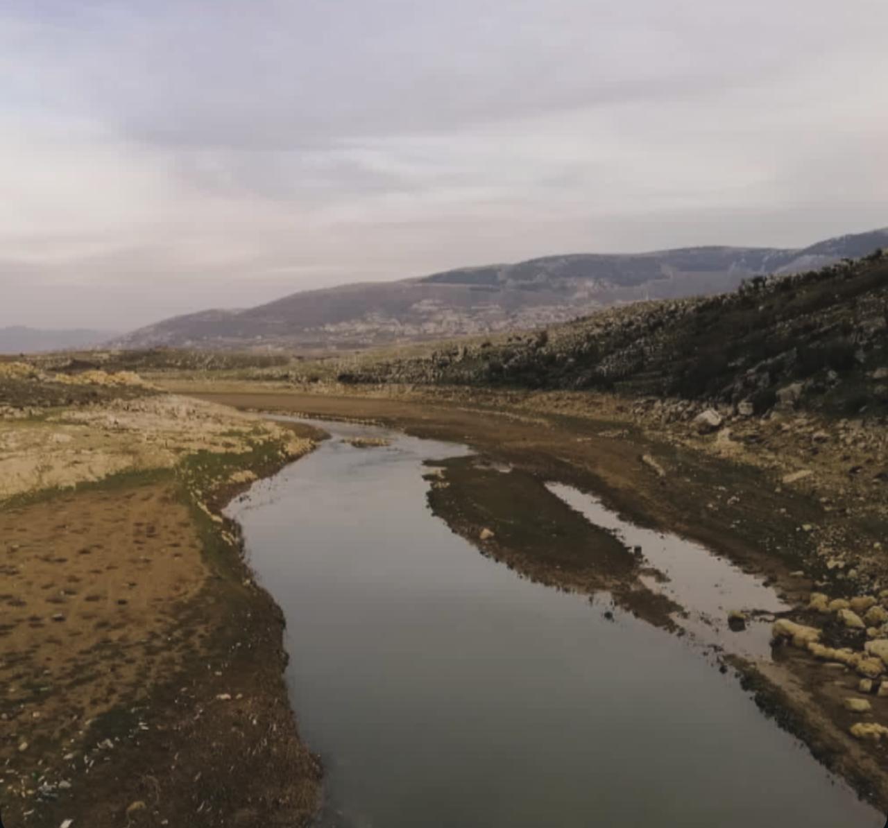 امراض سرطانية وخضار ملوثة: صفقات سياسيّة "تُجهض" جهود إنقاذ الليطاني