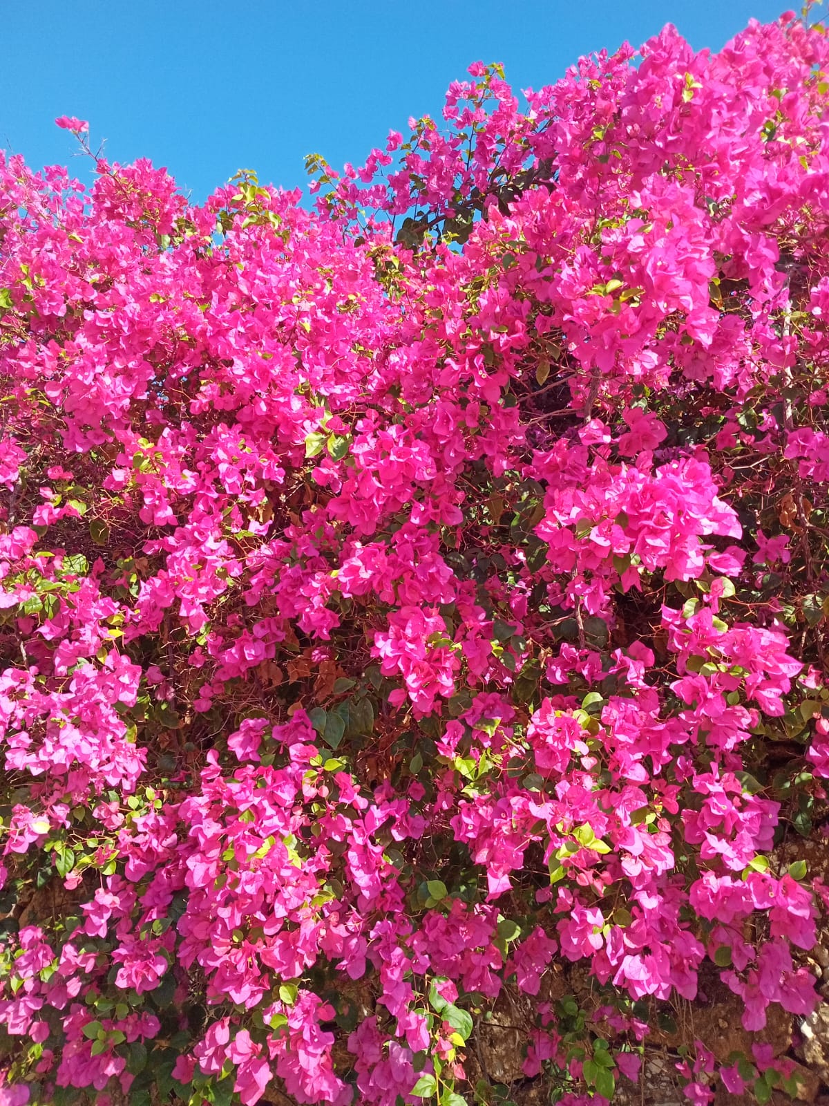 صورة توضيحية للمقال: الألوان والنسيان