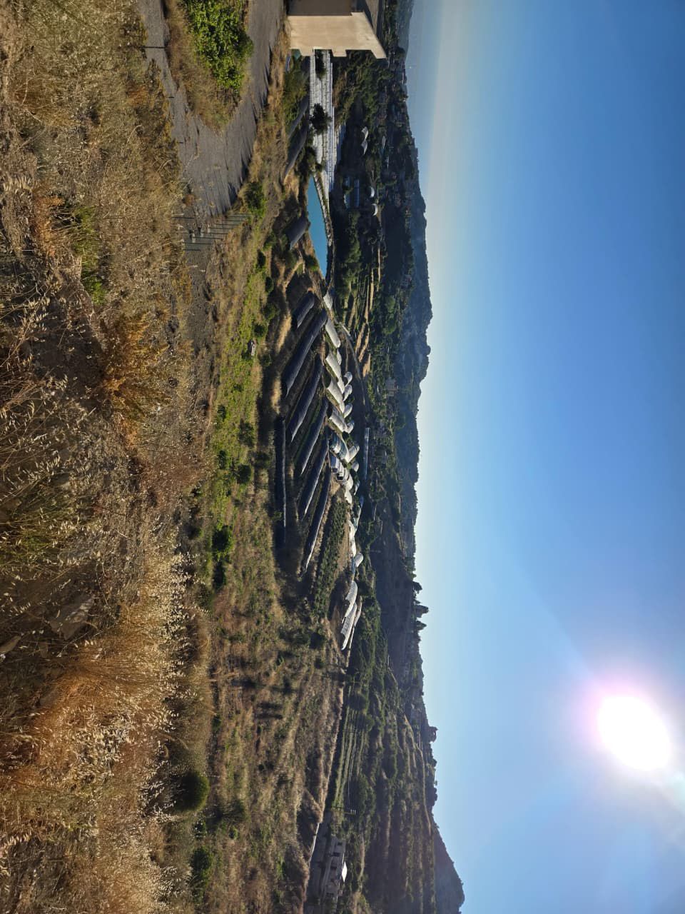 جامعيّون يختارون الزراعة وتربية الماشية مسارًا مهنيًّا في زمن الهجرة والشهادات